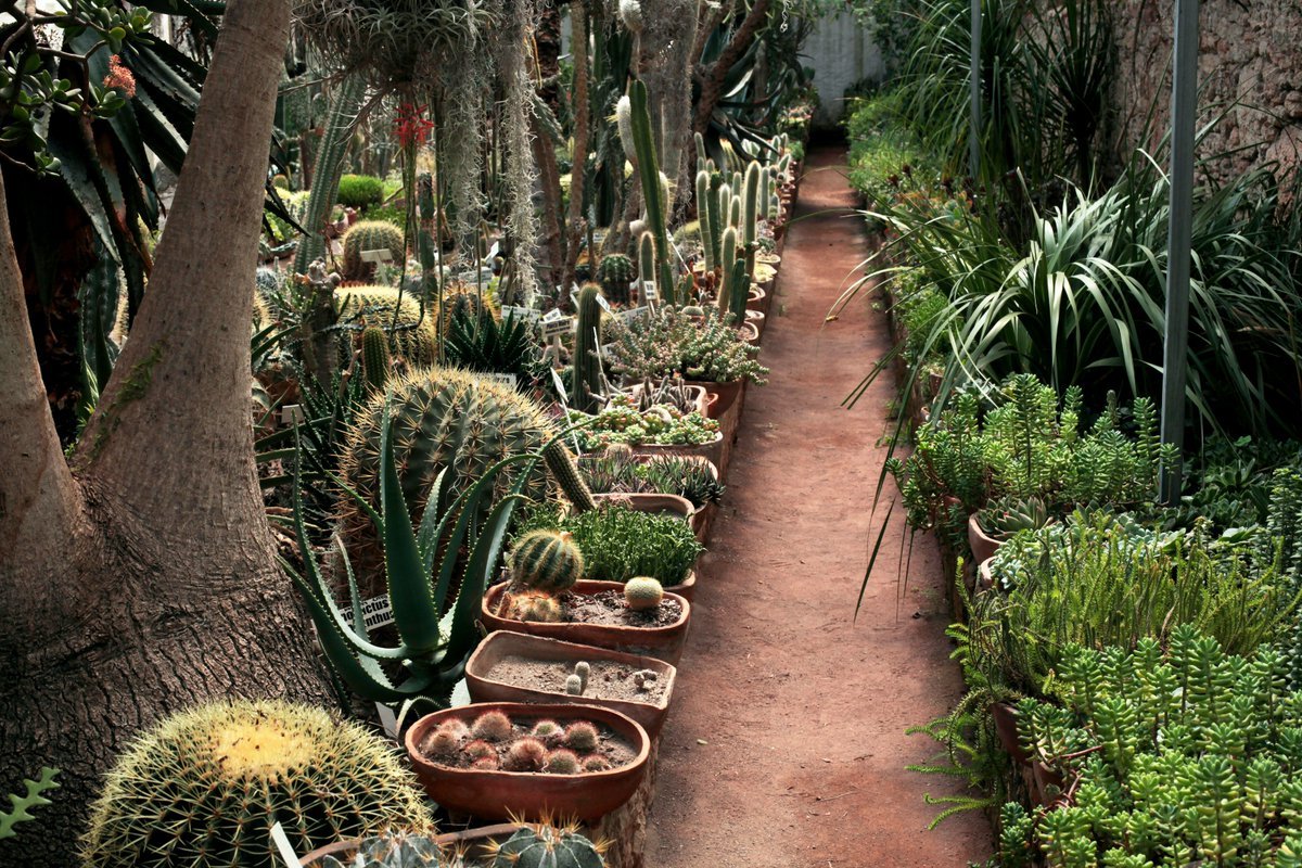Jardín botánico del semidesierto